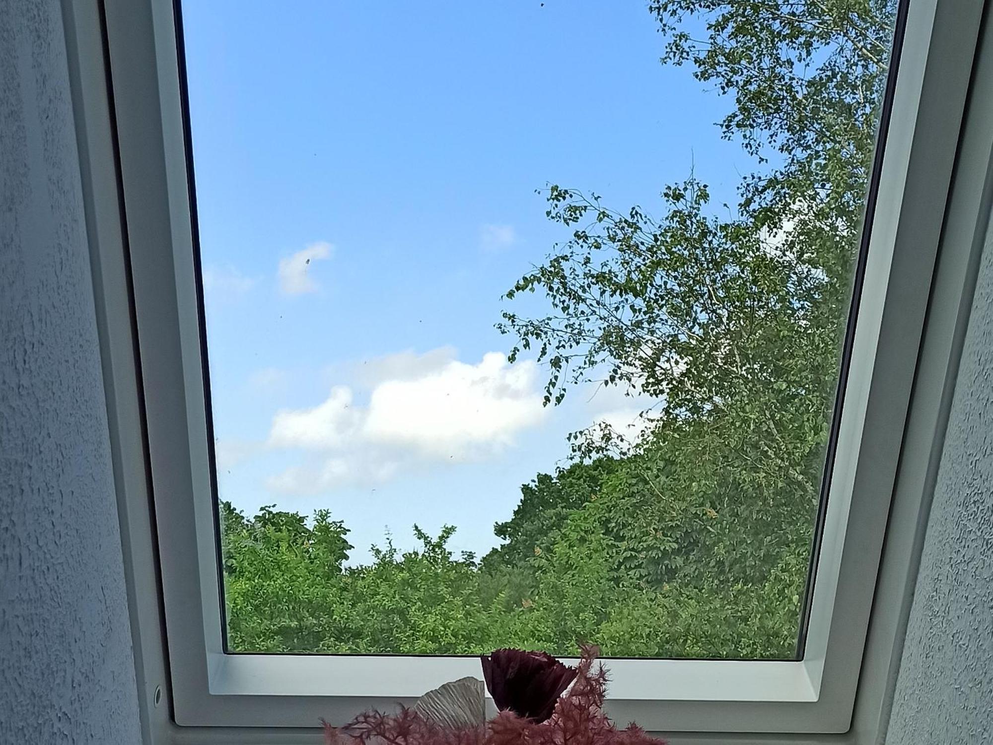 Ferienwohnung Kleiner Und Grosser Stern Stoltebüll Zewnętrze zdjęcie